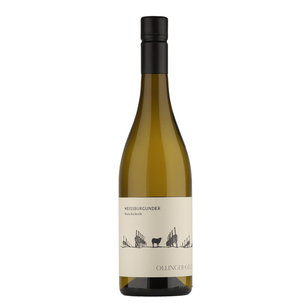 2024 Weißburgunder Muschelkalk trocken