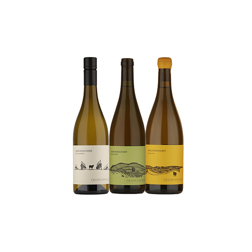 Grauburgunder-Paket